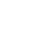 <p>Contributes to normal mental performance  </p>