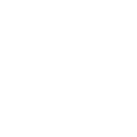 <p>Role in the process of cell division  </p>