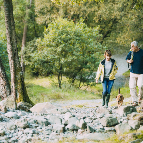 THE ACTIVE AGEING