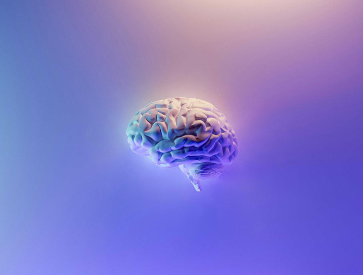 Phosphatidylserine: The Forgotten Fat That Supports Brain Function