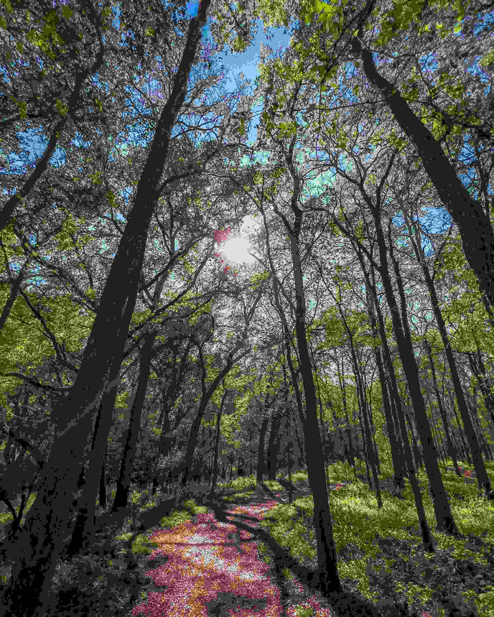 Fantastical Facts About Vitamin D